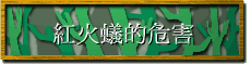 ƪM`