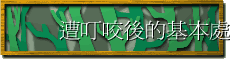 遭叮咬後的基本處理