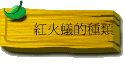 ƪ
