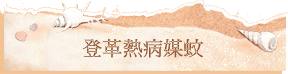 登革熱病媒蚊